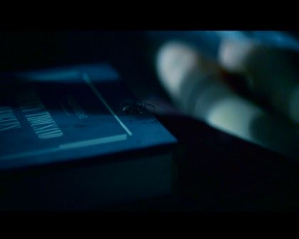 PDVD_808.jpg
