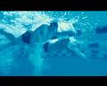 PDVD_1064