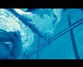PDVD_1071