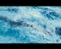 PDVD_1077