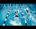 PDVD_1081
