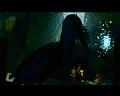 PDVD_1183