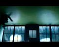PDVD_1481