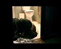 PDVD_1491