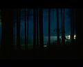 PDVD_161