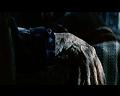 PDVD_1616