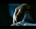 PDVD_1635