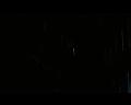 PDVD_1790