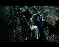 PDVD_2065