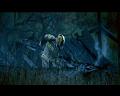 PDVD_2082