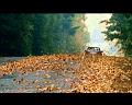 PDVD_494