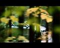 PDVD_495