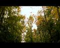 PDVD_502