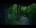 PDVD_518