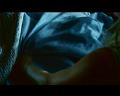 PDVD_818