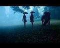 PDVD_858