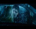 PDVD_984