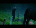 PDVD_2385.jpg