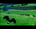 PDVD_469.jpg