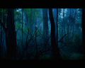 PDVD_1050.jpg