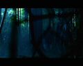 PDVD_1053.jpg
