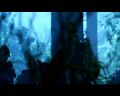 PDVD_1060.jpg
