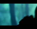 PDVD_1070.jpg