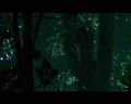PDVD_1075.jpg