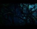 PDVD_1093.jpg