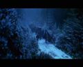 PDVD_1506.jpg