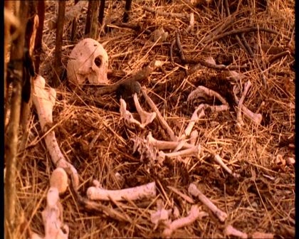 PDVD_681.jpg