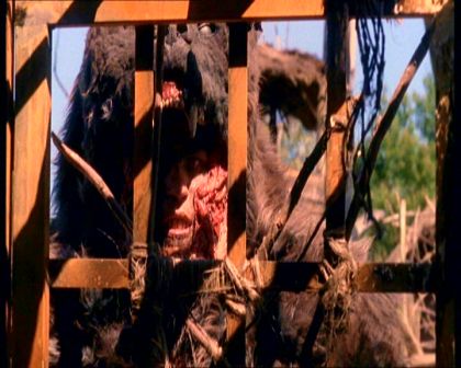 PDVD_761.jpg