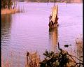 PDVD_1425