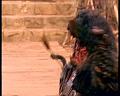 PDVD_1544