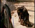 PDVD_1567