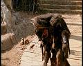 PDVD_1569