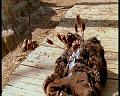 PDVD_1594