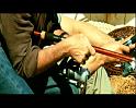 PDVD_123