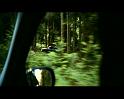 PDVD_1473