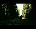 PDVD_1493