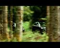 PDVD_1513