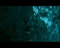 PDVD_2090