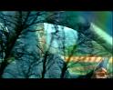 PDVD_2241