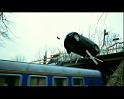 PDVD_2248