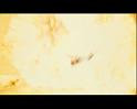 PDVD_2375