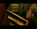 PDVD_2384