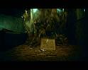 PDVD_243