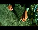 PDVD_566