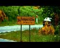 PDVD_737