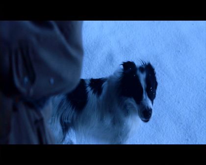 PDVD_1637.jpg